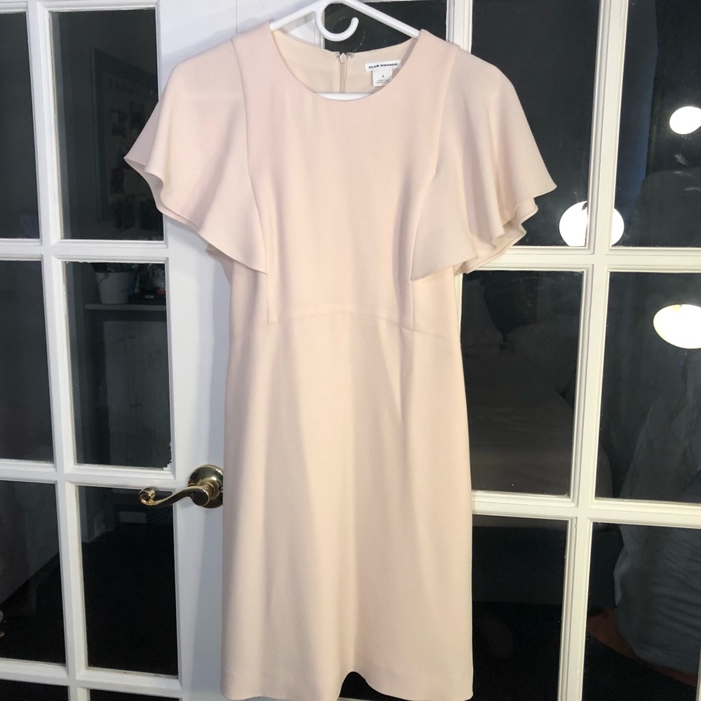 Club Monaco Pale Pink Flutter Dress